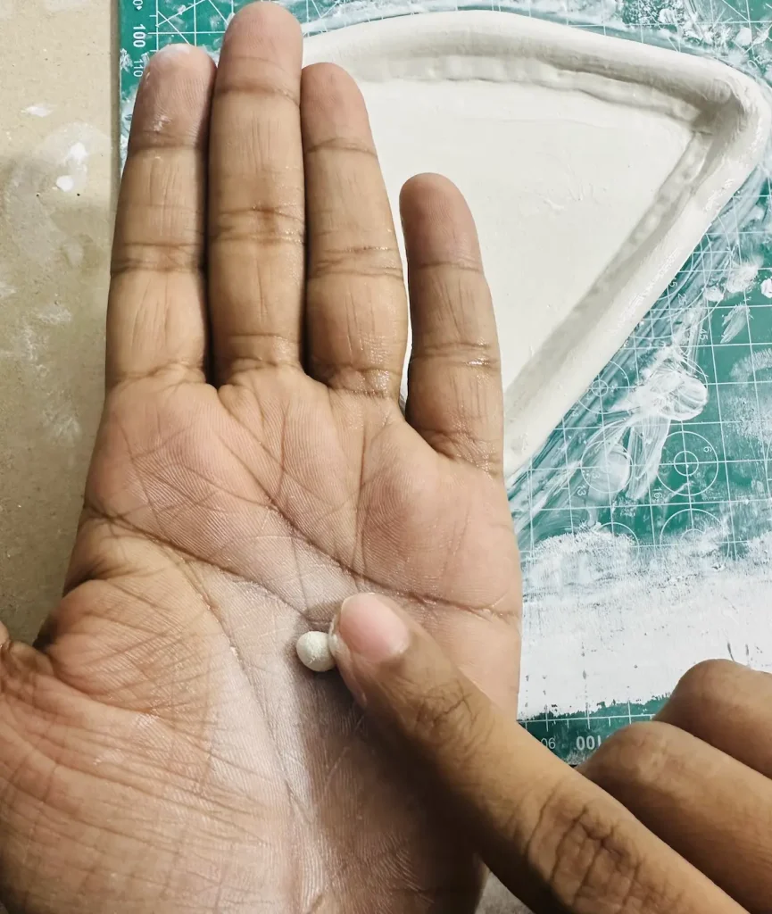 making watermelon seeds