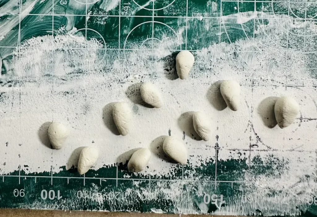 watermelon seeds