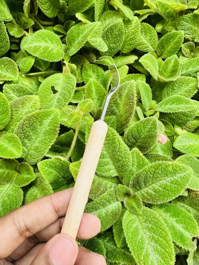 clay carving tool