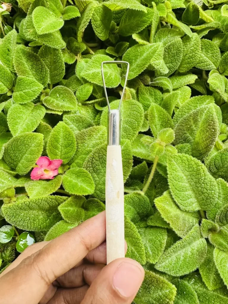 ribbon tool