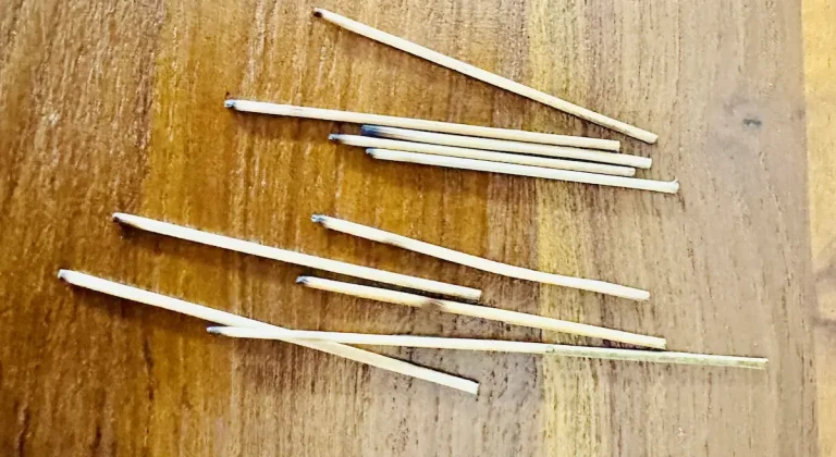 toothpicks
